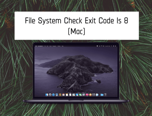file system check exit code is 8